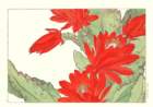 20 photo20_small.jpg